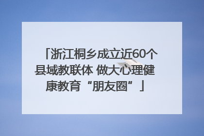 浙江桐乡成立近60个县域教联体 做大心理健康教育“朋友圈”