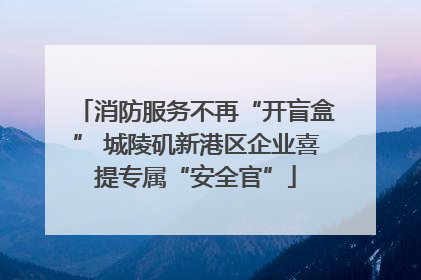 消防服务不再“开盲盒” 城陵矶新港区企业喜提专属“安全官”