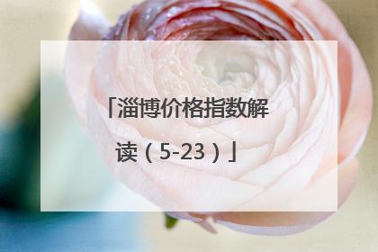 淄博价格指数解读（5-23）
