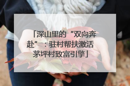 深山里的“双向奔赴”：驻村帮扶激活茅坪村致富引擎