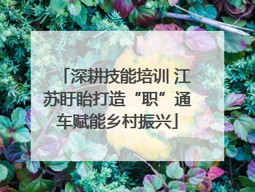 深耕技能培训 江苏盱眙打造“职”通车赋能乡村振兴