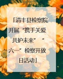 清丰县检察院开展“携手关爱 共护未来”“六一”检察开放日活动