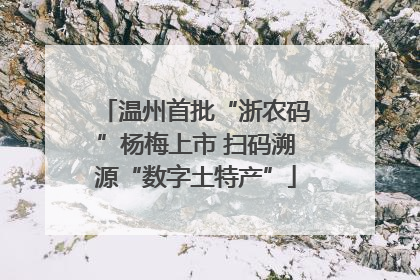 温州首批“浙农码”杨梅上市 扫码溯源“数字土特产”