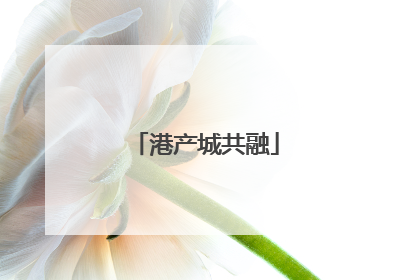 港产城共融