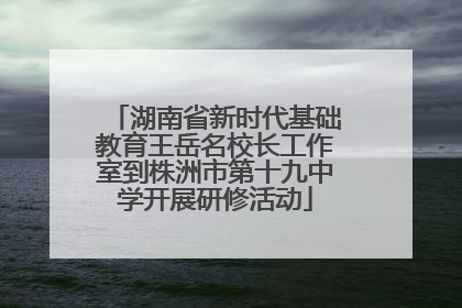 湖南省新时代基础教育王岳名校长工作室到株洲市第十九中学开展研修活动