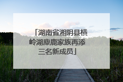 湖南省湘阴县横岭湖麋鹿家族再添三名新成员