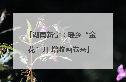 湖南新宁：瑶乡“金花”开 增收画卷来
