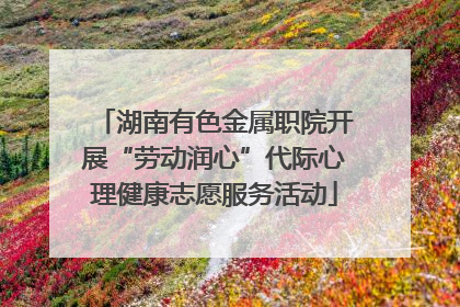 湖南有色金属职院开展“劳动润心”代际心理健康志愿服务活动