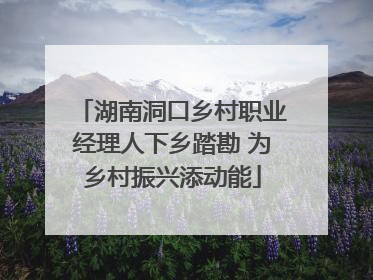 湖南洞口乡村职业经理人下乡踏勘 为乡村振兴添动能