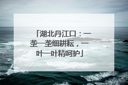 湖北丹江口：一垄一垄细耕耘，一叶一叶精呵护