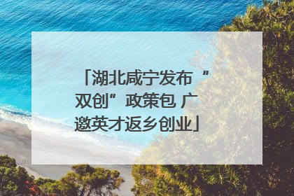 湖北咸宁发布“双创”政策包 广邀英才返乡创业