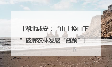 湖北咸安：“山上换山下”破解农林发展“瓶颈”