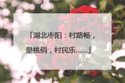 湖北枣阳：村路畅，皇桃俏，村民乐……