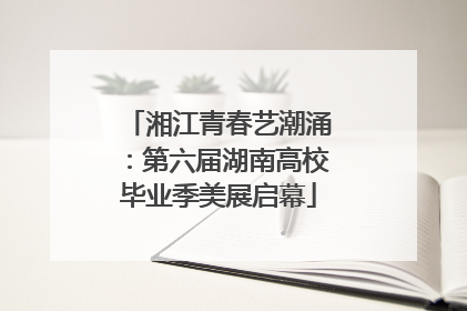 湘江青春艺潮涌：第六届湖南高校毕业季美展启幕