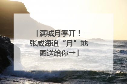 满城月季开！一张威海追“月”地图送给你→