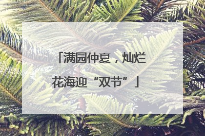 满园仲夏，灿烂花海迎“双节”
