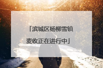 滨城区杨柳雪镇麦收正在进行中