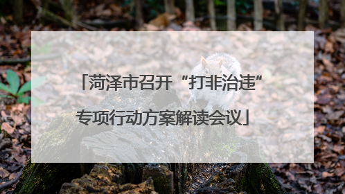 菏泽市召开“打非治违”专项行动方案解读会议