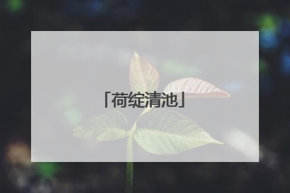 荷绽清池