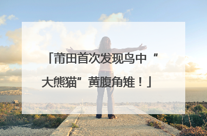莆田首次发现鸟中“大熊猫”黄腹角雉！