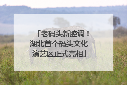 老码头新腔调！湖北首个码头文化演艺区正式亮相