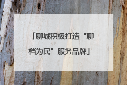 聊城积极打造“聊档为民”服务品牌