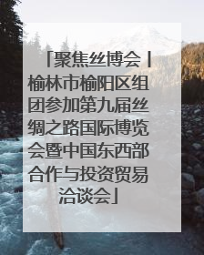 聚焦丝博会丨榆林市榆阳区组团参加第九届丝绸之路国际博览会暨中国东西部合作与投资贸易洽谈会