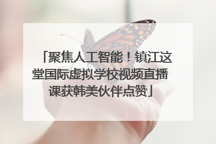 聚焦人工智能！镇江这堂国际虚拟学校视频直播课获韩美伙伴点赞