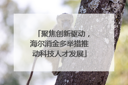 聚焦创新驱动，海尔消金多举措推动科技人才发展