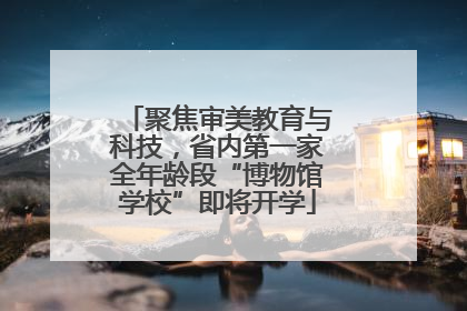 聚焦审美教育与科技，省内第一家全年龄段“博物馆学校”即将开学