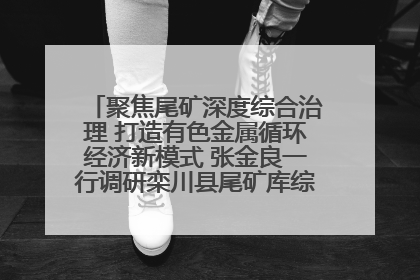 聚焦尾矿深度综合治理 打造有色金属循环经济新模式 张金良一行调研栾川县尾矿库综合治理工作