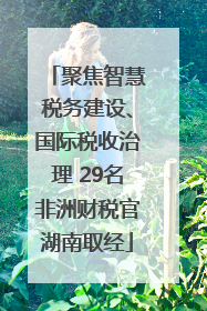聚焦智慧税务建设、国际税收治理 29名非洲财税官湖南取经