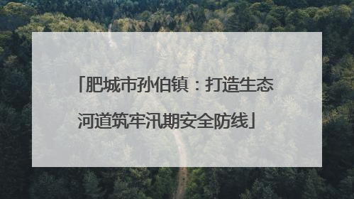 肥城市孙伯镇：打造生态河道筑牢汛期安全防线