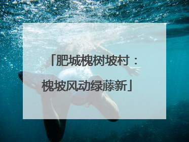 肥城槐树坡村：槐坡风动绿藤新