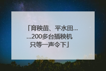 育秧苗、平水田……200多台插秧机只等一声令下