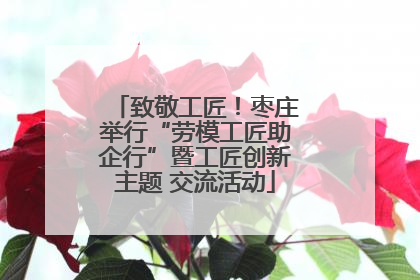 致敬工匠！枣庄举行“劳模工匠助企行”暨工匠创新主题 交流活动
