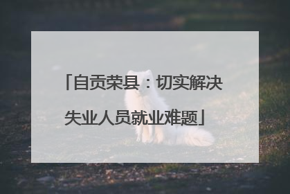 自贡荣县：切实解决失业人员就业难题