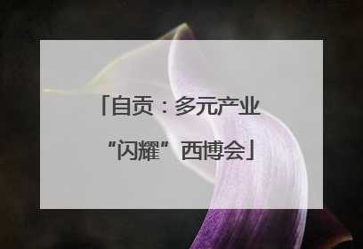 自贡：多元产业“闪耀”西博会