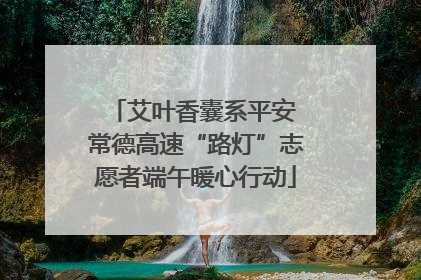 艾叶香囊系平安 常德高速“路灯”志愿者端午暖心行动