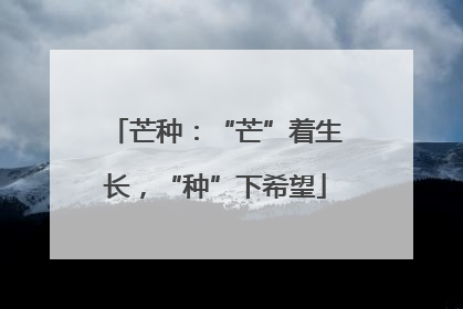 芒种：“芒”着生长，“种”下希望