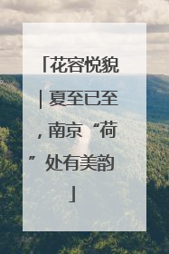 花容悦貌｜夏至已至，南京“荷”处有美韵