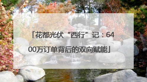 花都光伏“西行”记：6400万订单背后的双向赋能