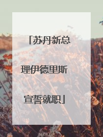 苏丹新总理伊德里斯宣誓就职
