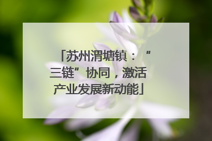 苏州渭塘镇：“三链”协同，激活产业发展新动能