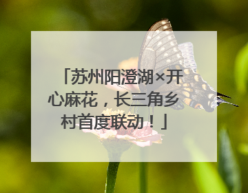 苏州阳澄湖×开心麻花，长三角乡村首度联动！