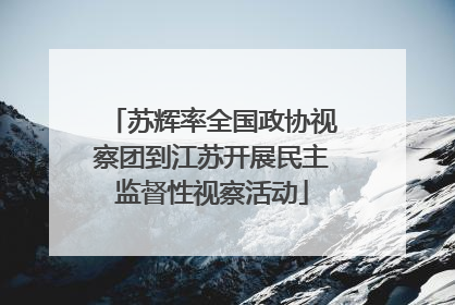 苏辉率全国政协视察团到江苏开展民主监督性视察活动