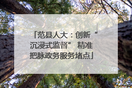范县人大：创新“沉浸式监督” 精准把脉政务服务堵点
