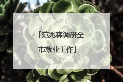 范兆森调研全市就业工作