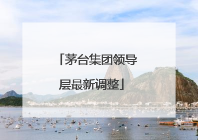 茅台集团领导层最新调整