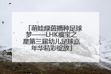 萌娃绿茵播种足球梦——LHK福宝之星第三届幼儿足球嘉年华精彩绽放
